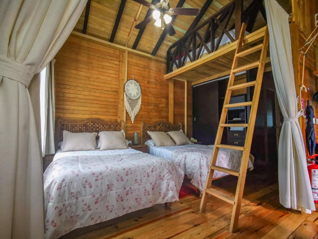 Alicat Villas - 高级别墅