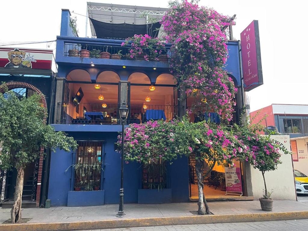 Huajuapan de León的住宿－Hotel Maria Luisa，蓝色的建筑,花朵在建筑的一侧