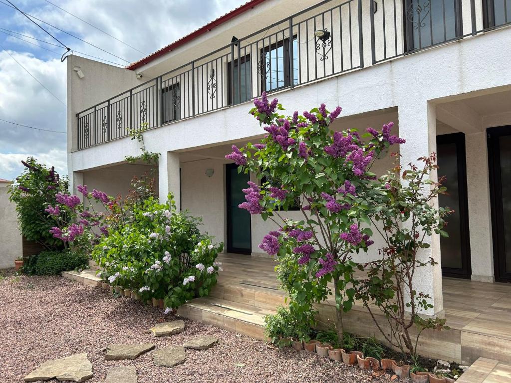 a house with purple flowers in front of it at Vila Elna in 2 Mai