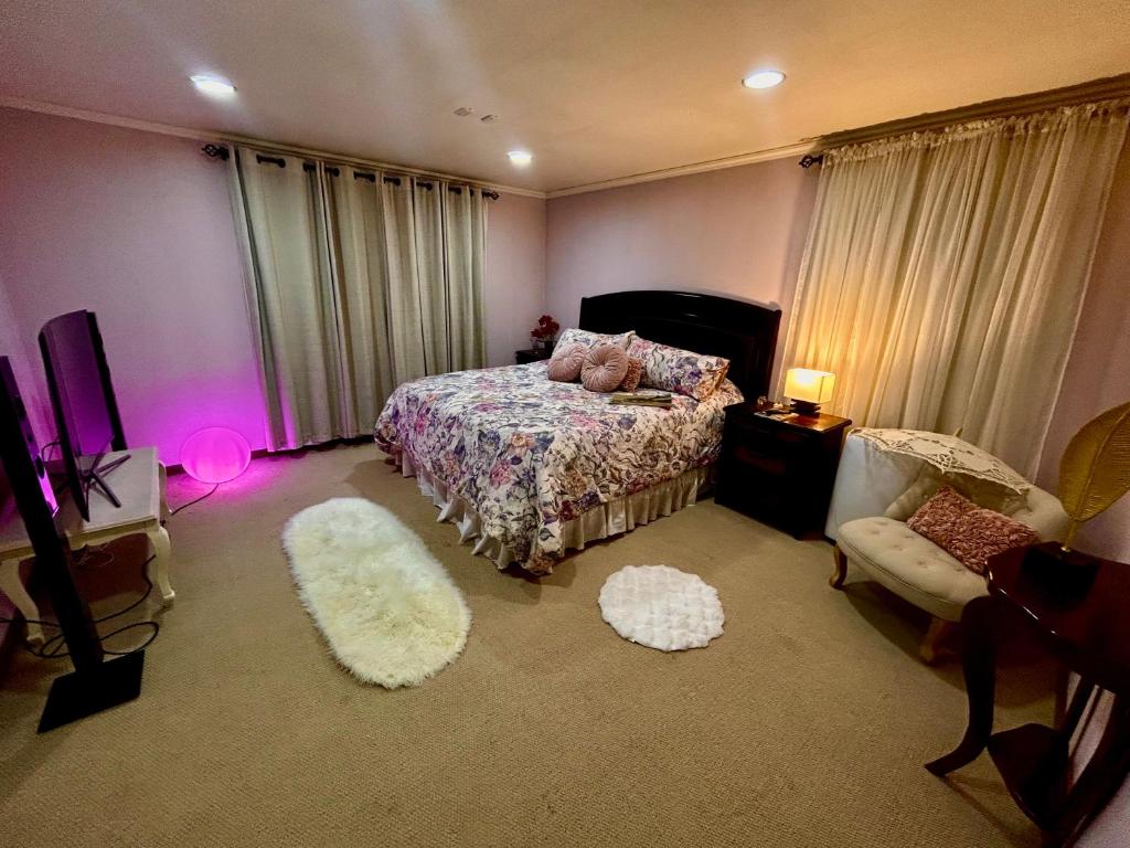 サンティアゴにあるpalazzo della dolce vitaのベッドルーム(ベッド1台、テレビ、ラグ付)