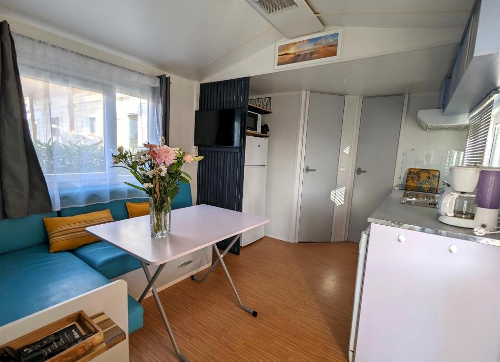 Kuchyň nebo kuchyňský kout v ubytování Mobilhome avec piscine- plage à 10 minutes