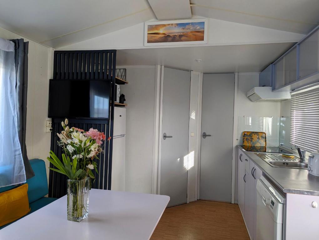 Kuchyň nebo kuchyňský kout v ubytování Mobilhome avec piscine- plage à 10 minutes