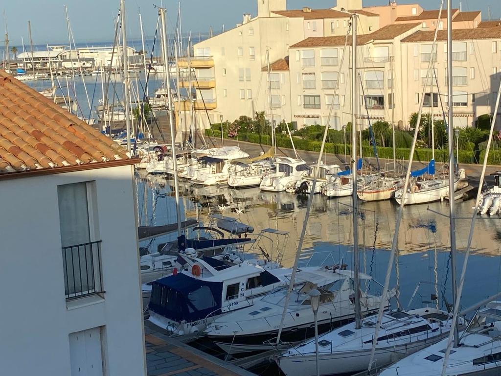 un groupe de bateaux est amarré dans un port de plaisance dans l'établissement Bel appartement les roches Brunes vue mer, au Cap d'Agde