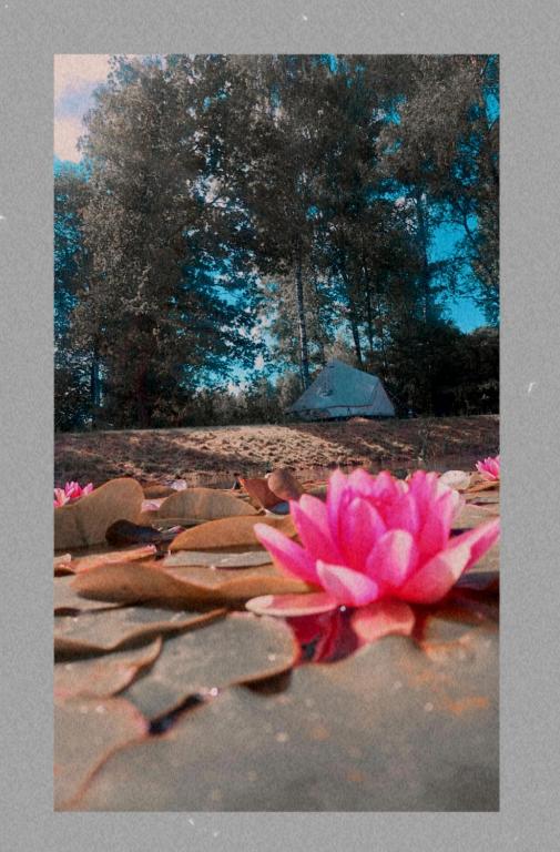 Fotografie z fotogalerie ubytování Glamping in - luxury tent v destinaci Šunupis