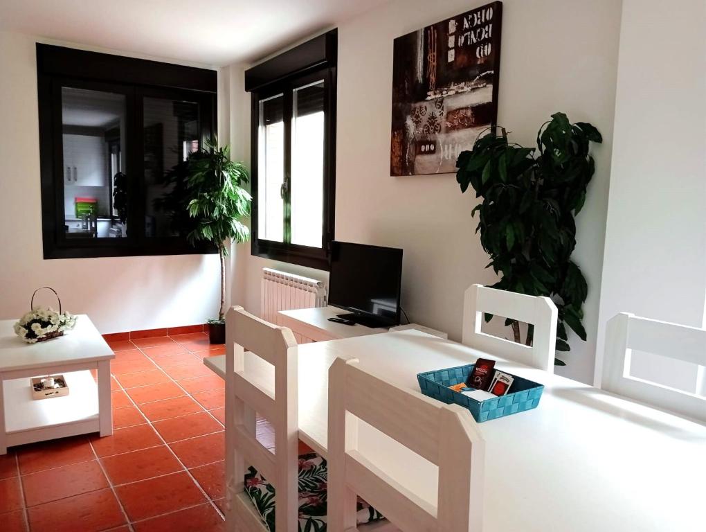 Televízia a/alebo spoločenská miestnosť v ubytovaní Apartamentos La Piedra en pleno centro histórico con dos dormitorios y dos baños