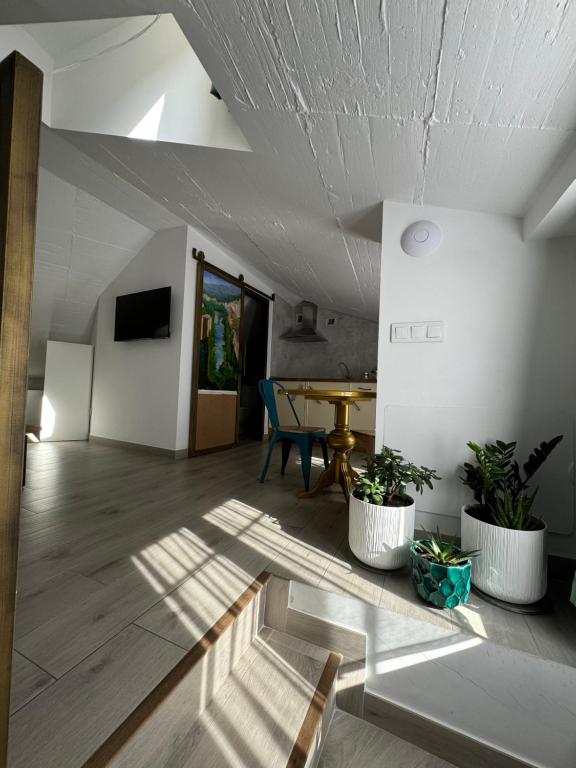 ATENEO CUENCA Suites - 11