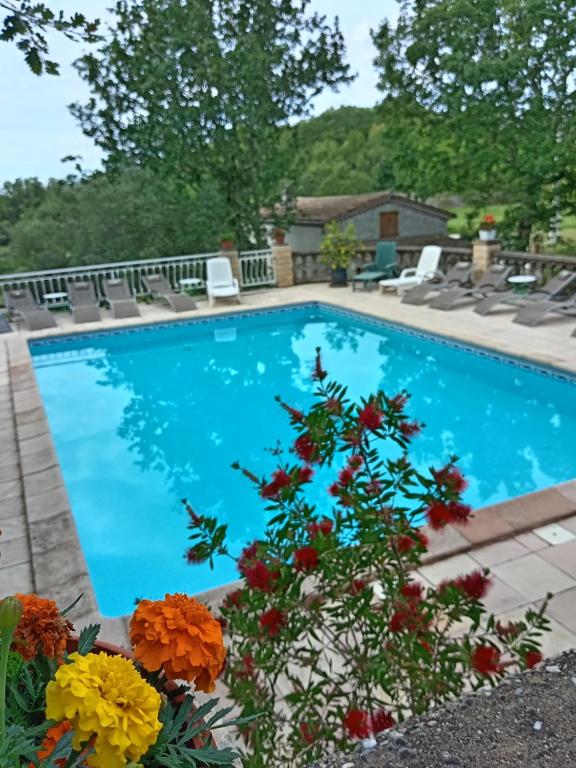 - une piscine avec des fleurs en face dans l'établissement Les Papillons, à Labeaume