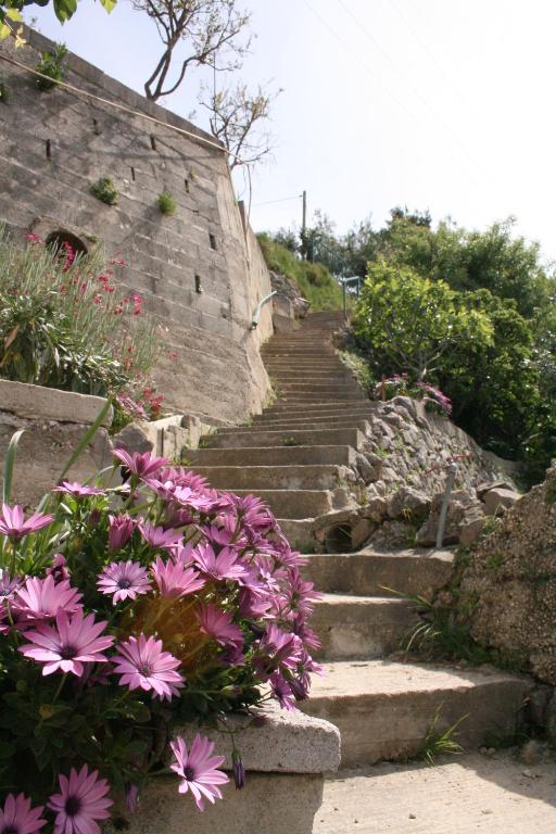 Vonkajšia záhrada v ubytovaní Holiday Home Andrija