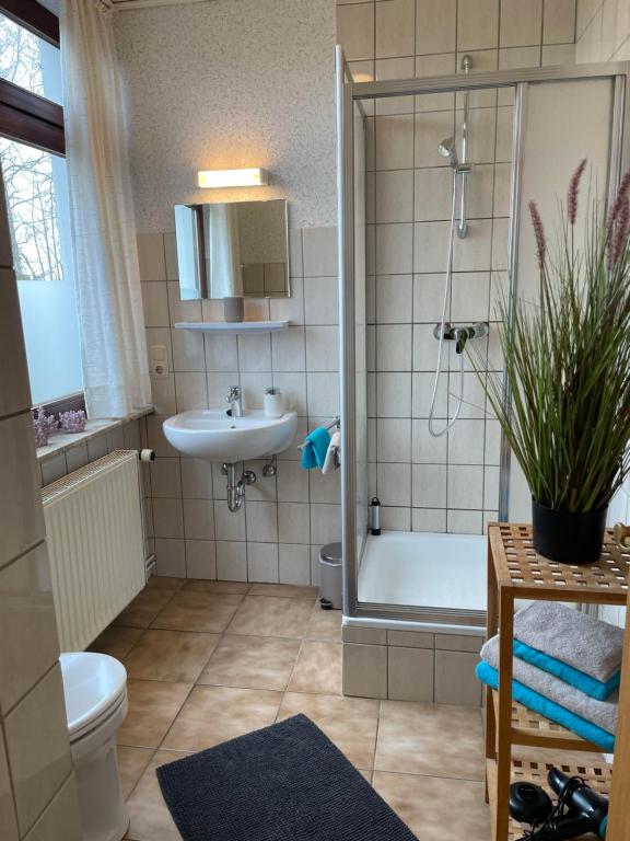 a bathroom with a shower and a toilet and a sink at In't Noord in Tossens