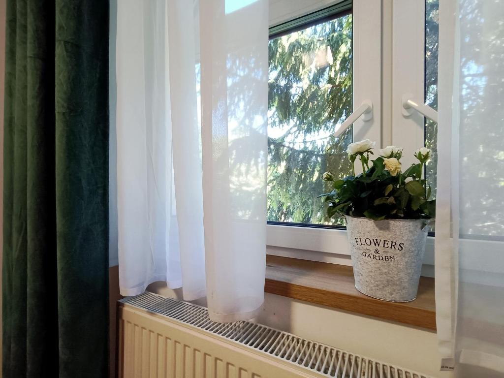okno z doniczką na parapecie w obiekcie Villa Karolina w Krakowie