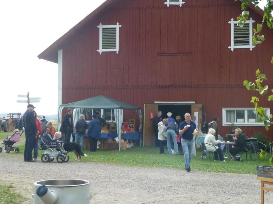 Hosté ubytování Ladan