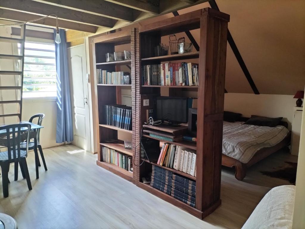 Knihovna v apartmánu
