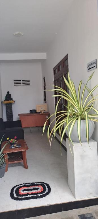Vstupní hala nebo recepce v ubytování Sevonrich Luxury Hostel - Dambulla