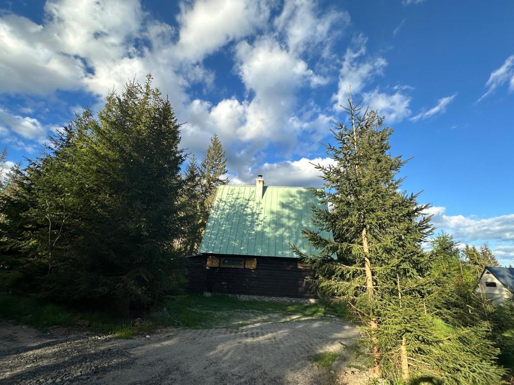 ein Haus mit einem grünen Dach und zwei Bäumen in der Unterkunft Chata in Pribylina