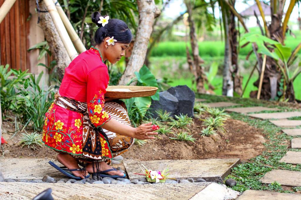 Zahrada ubytování Ubud Luwih Nature Retreat
