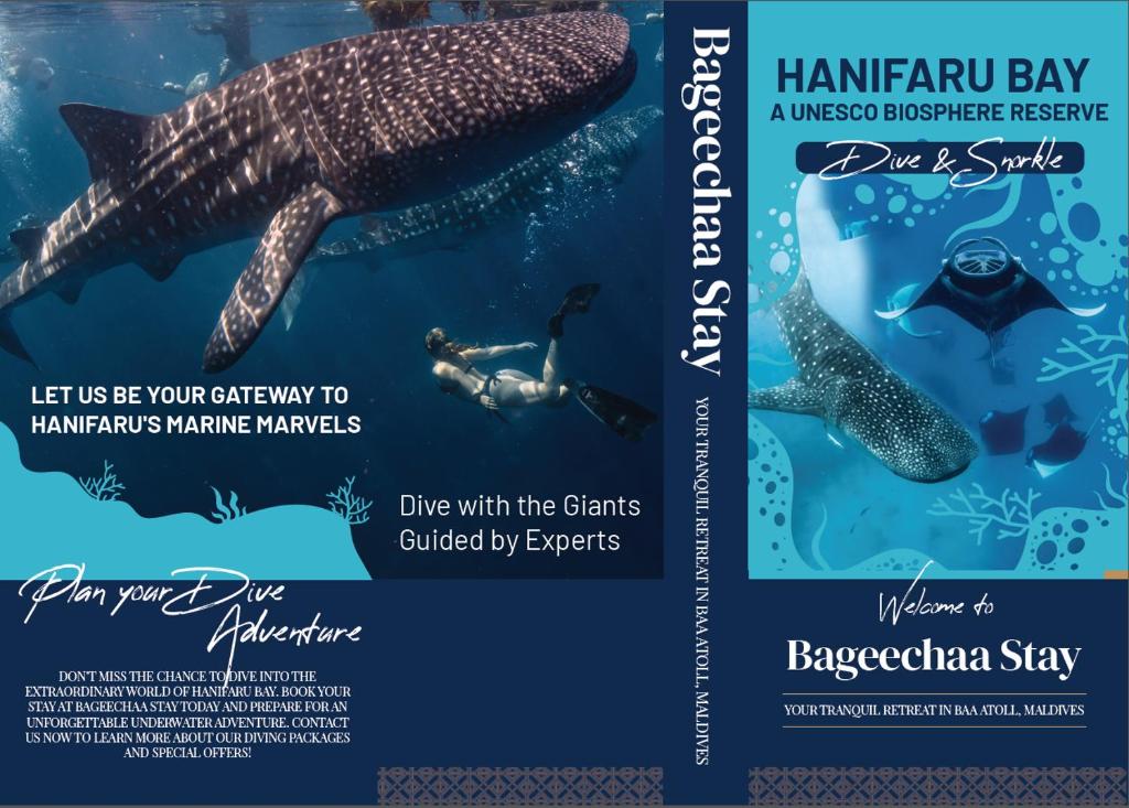Fotografie z fotogalerie ubytování BAGEECHAA STAY v destinaci Dharavandhoo
