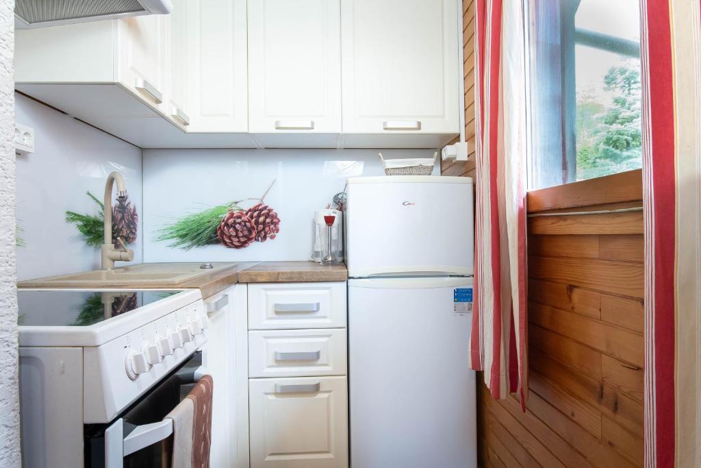 Kuchyň nebo kuchyňský kout v ubytování Cabin Storzek