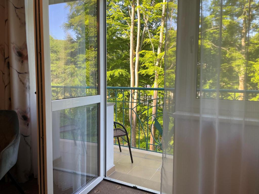 Spa & Wellness Hotel Silva - 17