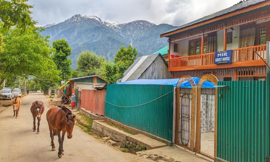 a couple of cows walking down a street at Mir guest house in Pahalgām