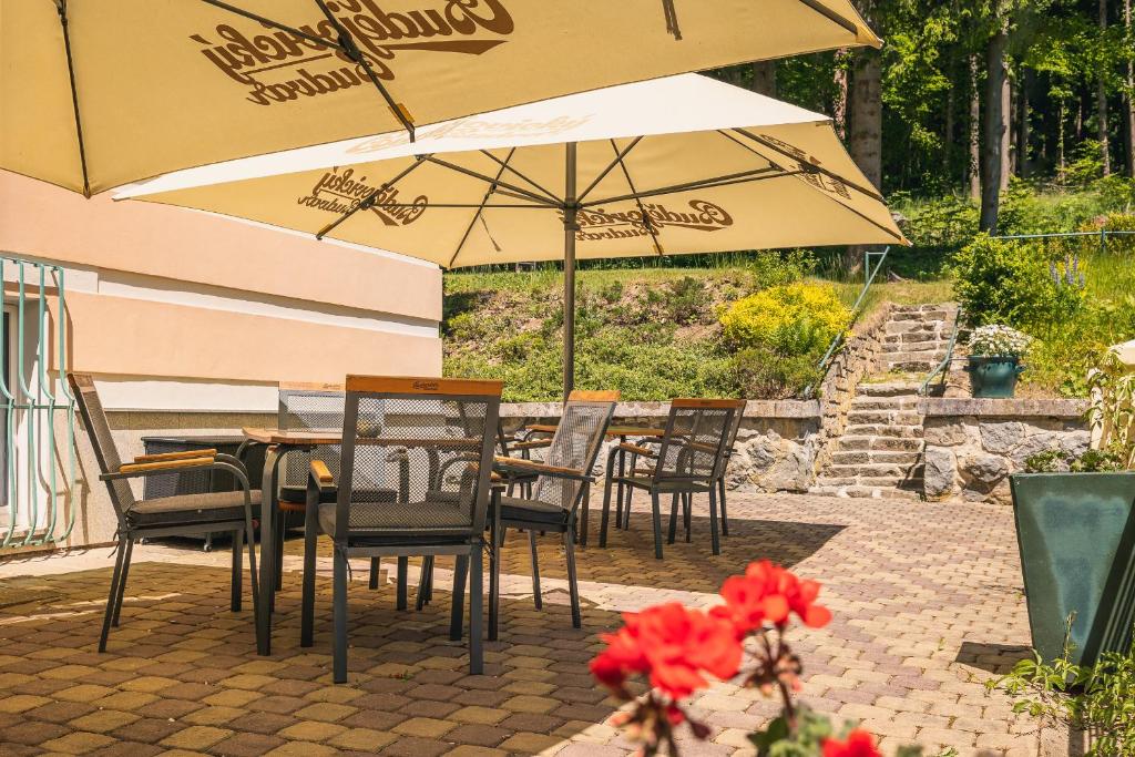 Zahrada ubytování Spa & Wellness Hotel Silva