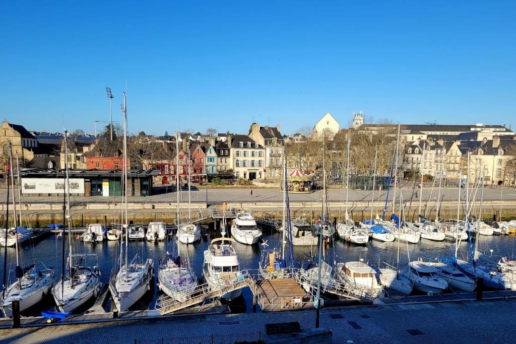 Un tas de bateaux sont amarrés dans un port de plaisance dans l'établissement New and Splendid apartment in the heart of Vannes, à Vannes