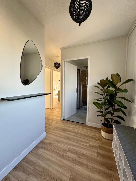 un couloir avec un miroir et une plante en pot dans l'établissement Appartement 50m2, Montpellier Ovalie, clim-balcon-netflix, à Montpellier