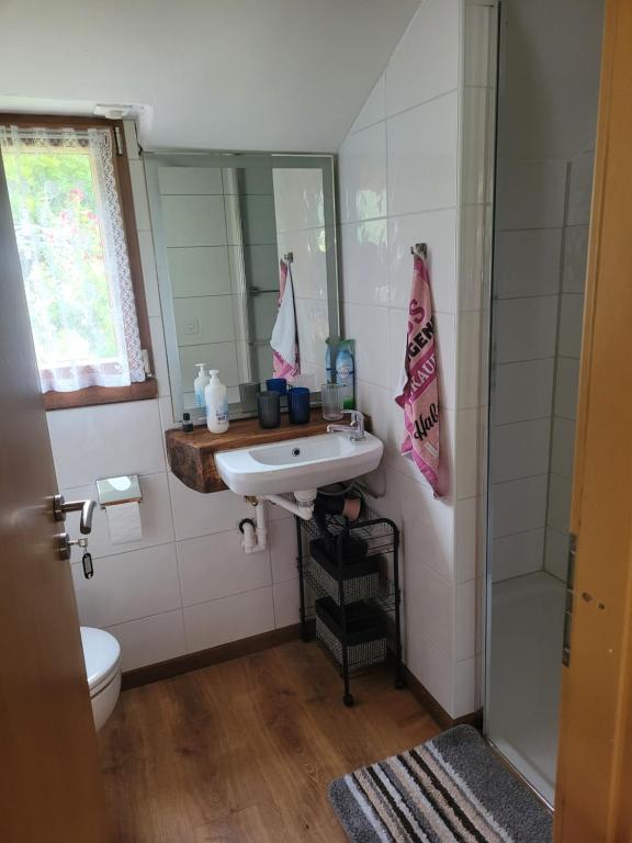 Koupelna v ubytování aschis Lodge 2
