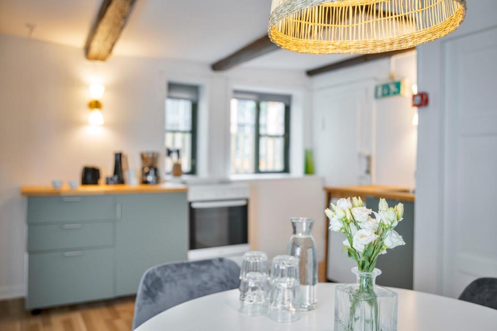 Kuchyň nebo kuchyňský kout v ubytování Hotel Hamlet
