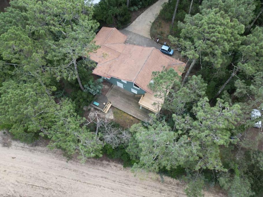 - une vue aérienne sur une maison dans les bois dans l'établissement Villa Nantucket, à Lège-Cap-Ferret