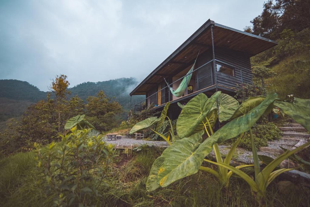 a house on a hill with plants in front of it at Ecolodge Cuentos de Agua in Villamaría