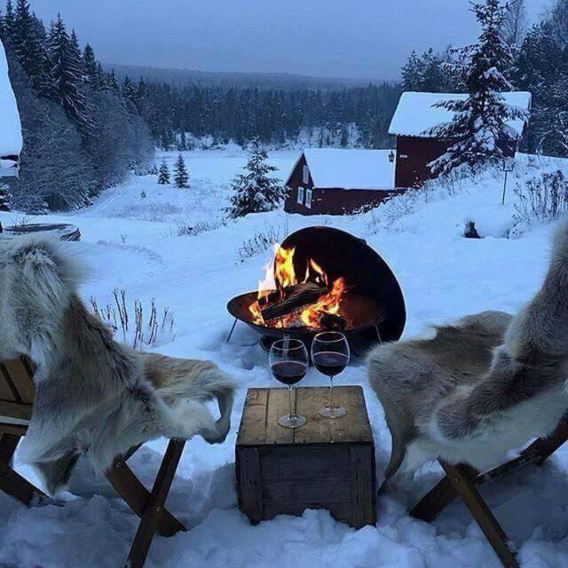 two wolves playing with wine glasses in the snow at Rödvattnet cottages in Rödvattnet