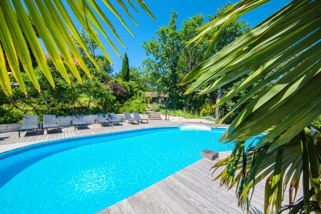 uma piscina com cadeiras e uma palmeira em Les Hauts de Jeanvert - Le Chêne - Piscine - Gaillac em Gaillac
