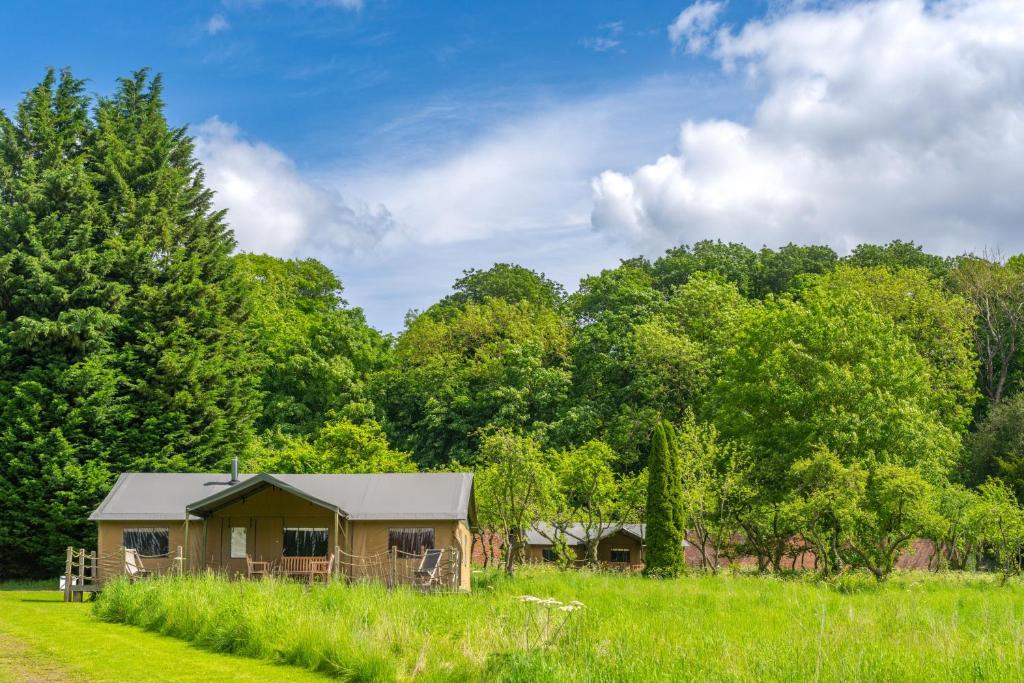 a cabin in the middle of a field with trees at Teal - Exton Park in Exton