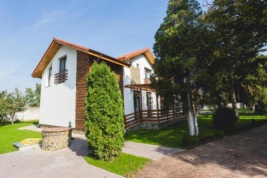 a house with a tree in front of it at Casa Cu Nuc in Brebeni