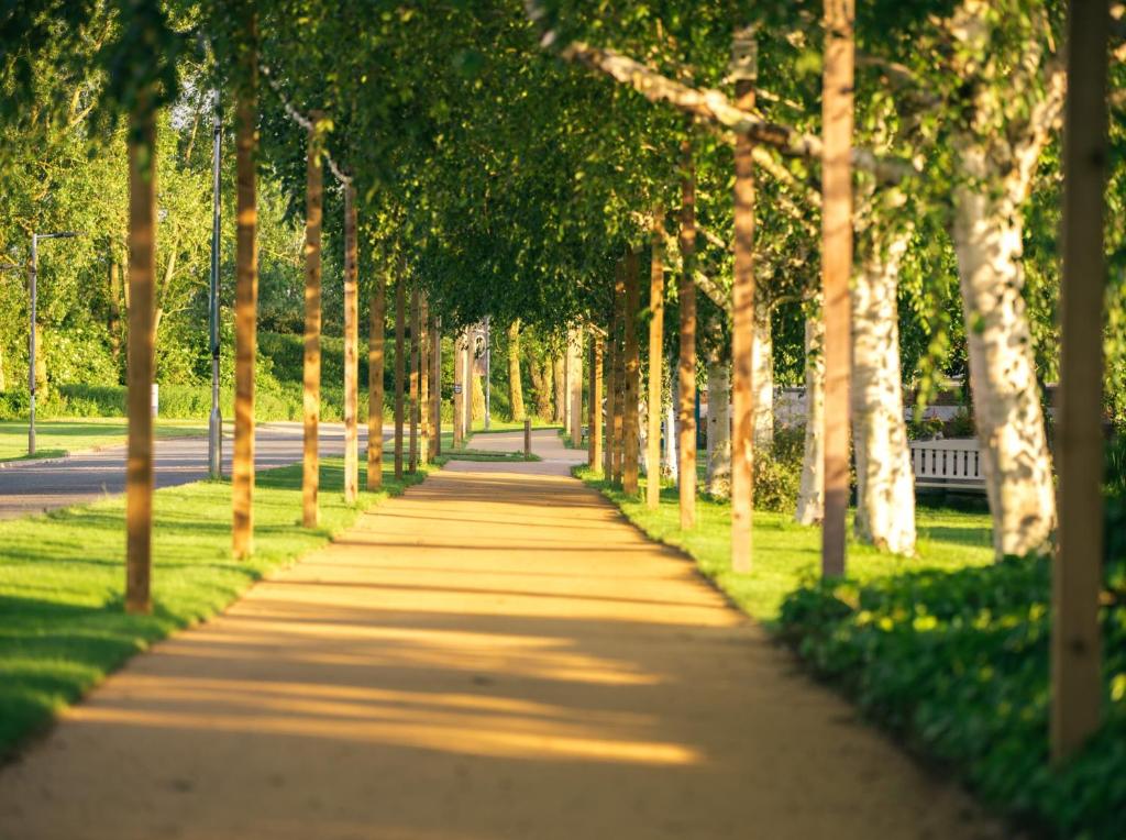 un sentiero alberato con alberi in un parco di The Willows Training Centre a Wyboston
