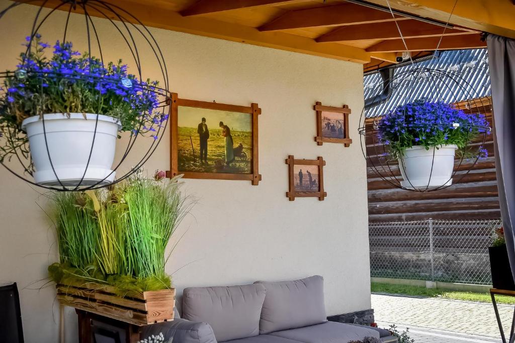 Vonkajšia záhrada v ubytovaní Apartamenty Mrozówka