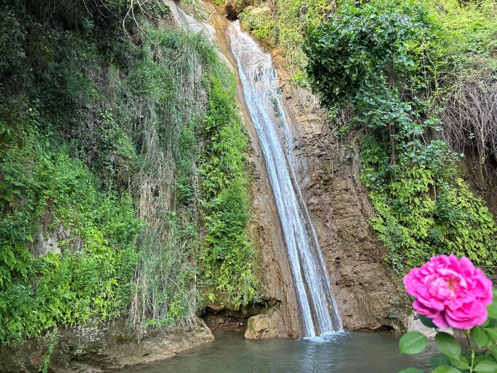 Fotografie z fotogalerie ubytování Alanya Bektas Private 4 bedroom Villa v destinaci Alanya