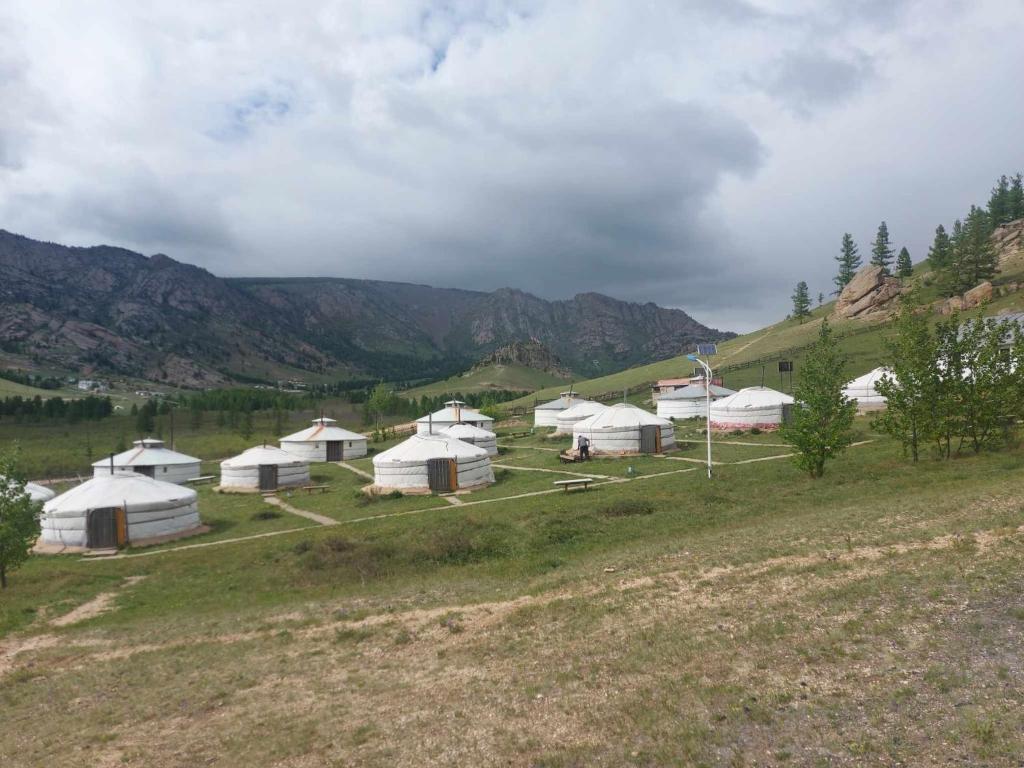 Un grupo de tiendas blancas en una colina cubierta de hierba en Camping turtle rock, en Yoliin Hural