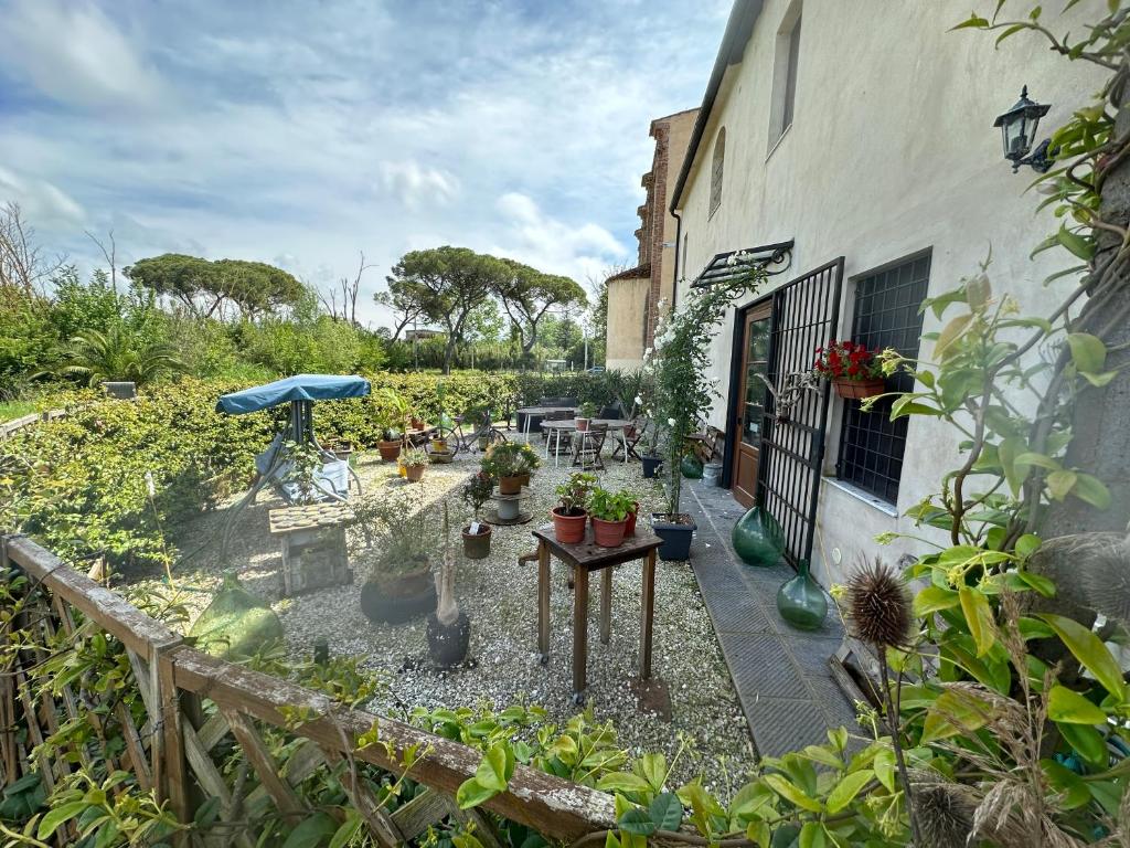 Zahrada ubytování - Il Casale Toscano - 1900mt from The Tower of Pisa & Trains station - Free Parking - No Breakfast - No air conditioning but fan - ONLY SELF CHECK-IN ACCESS FROM 5 PM
