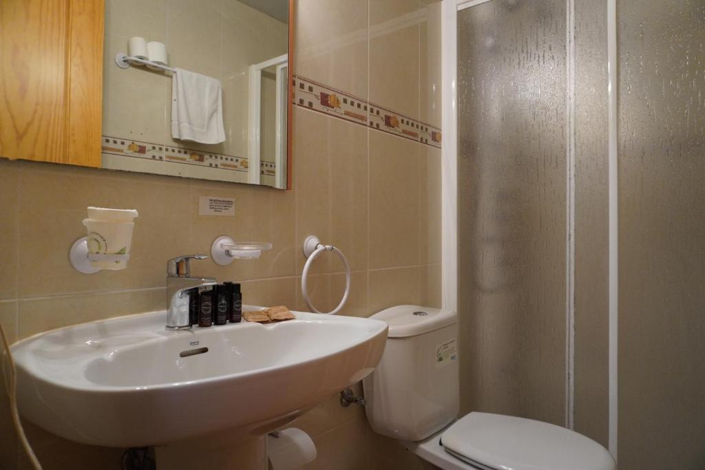 Koupelna v ubytování Apartamentos Casa DOMENC