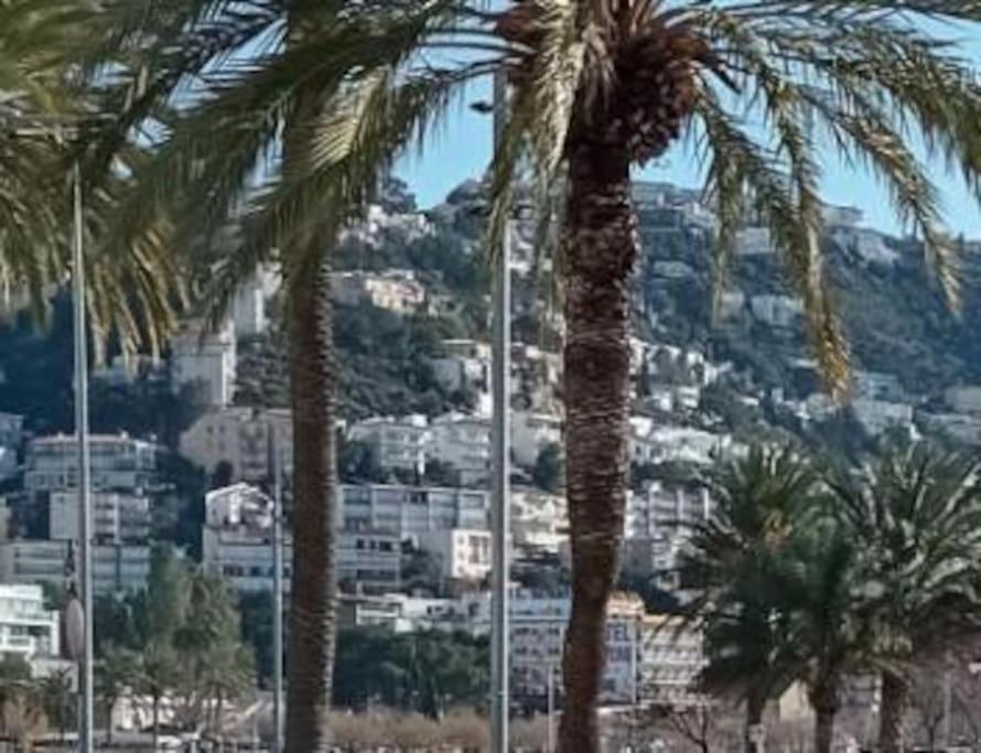 a group of palm trees in front of a city at Appartement port Nautic 5 Empuria in Empuriabrava