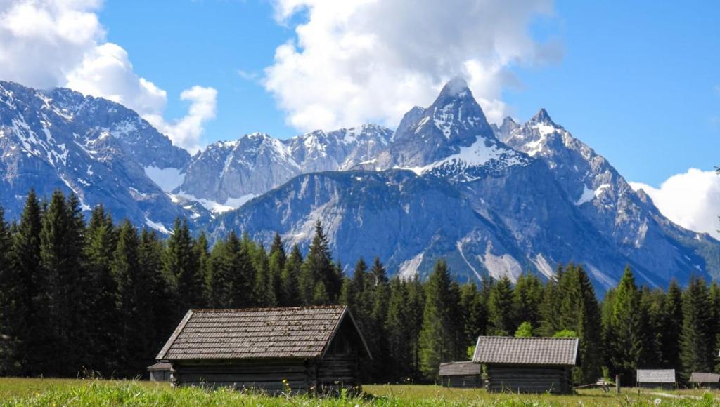 Příroda nedaleko apartmánu