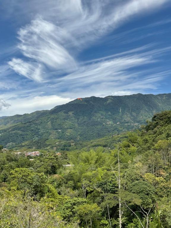 Un paisaje natural cerca del chalet de montaña