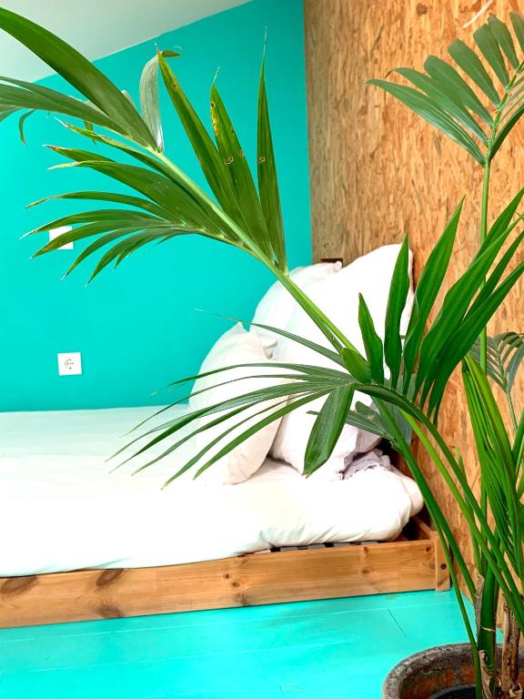 Fred's House Asprela - 19