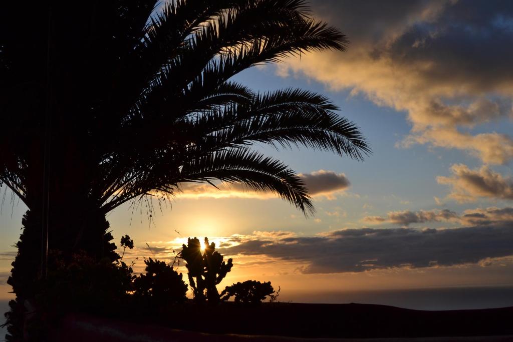 eine Palme mit Sonnenuntergang im Hintergrund in der Unterkunft El Quinto Pino - El Estudio in Las Indias