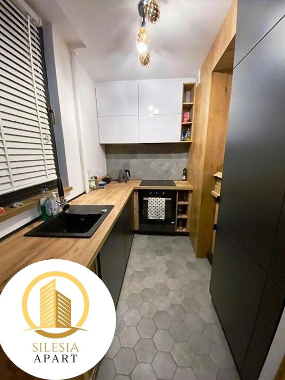 Kuchyň nebo kuchyňský kout v ubytování Apartament Lancelot