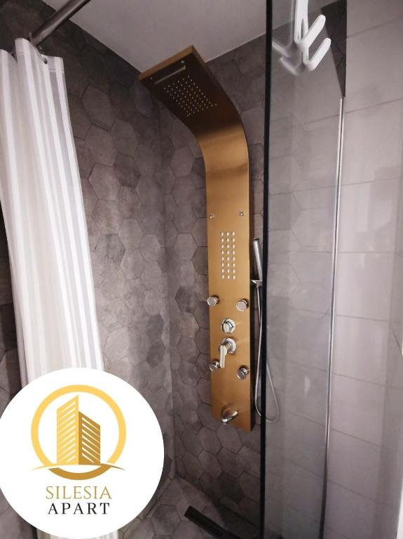 Koupelna v ubytování Apartament Lancelot