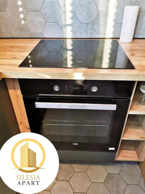 Kuchyň nebo kuchyňský kout v ubytování Apartament Lancelot