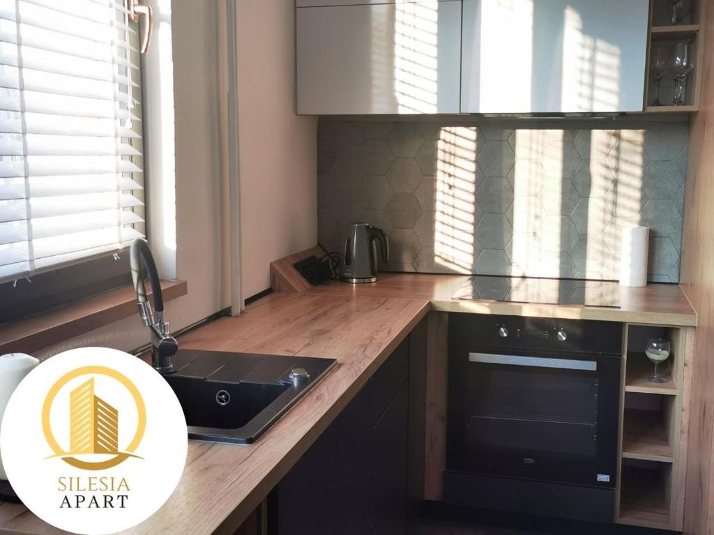 Kuchyň nebo kuchyňský kout v ubytování Apartament Lancelot