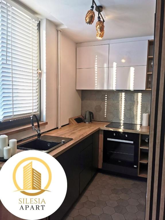 Kuchyň nebo kuchyňský kout v ubytování Apartament Lancelot